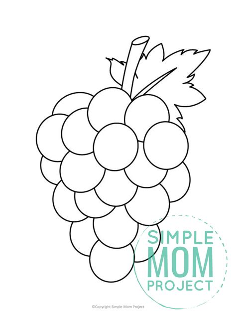 grapes coloring book|single grape template.